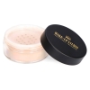Translucent Powder Extra Fine - 2